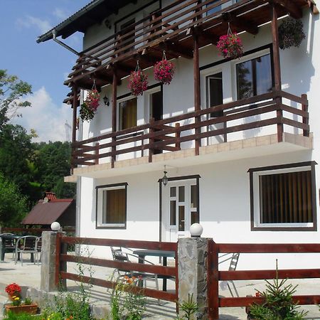 Vila Doina Branului บราน ภายนอก รูปภาพ