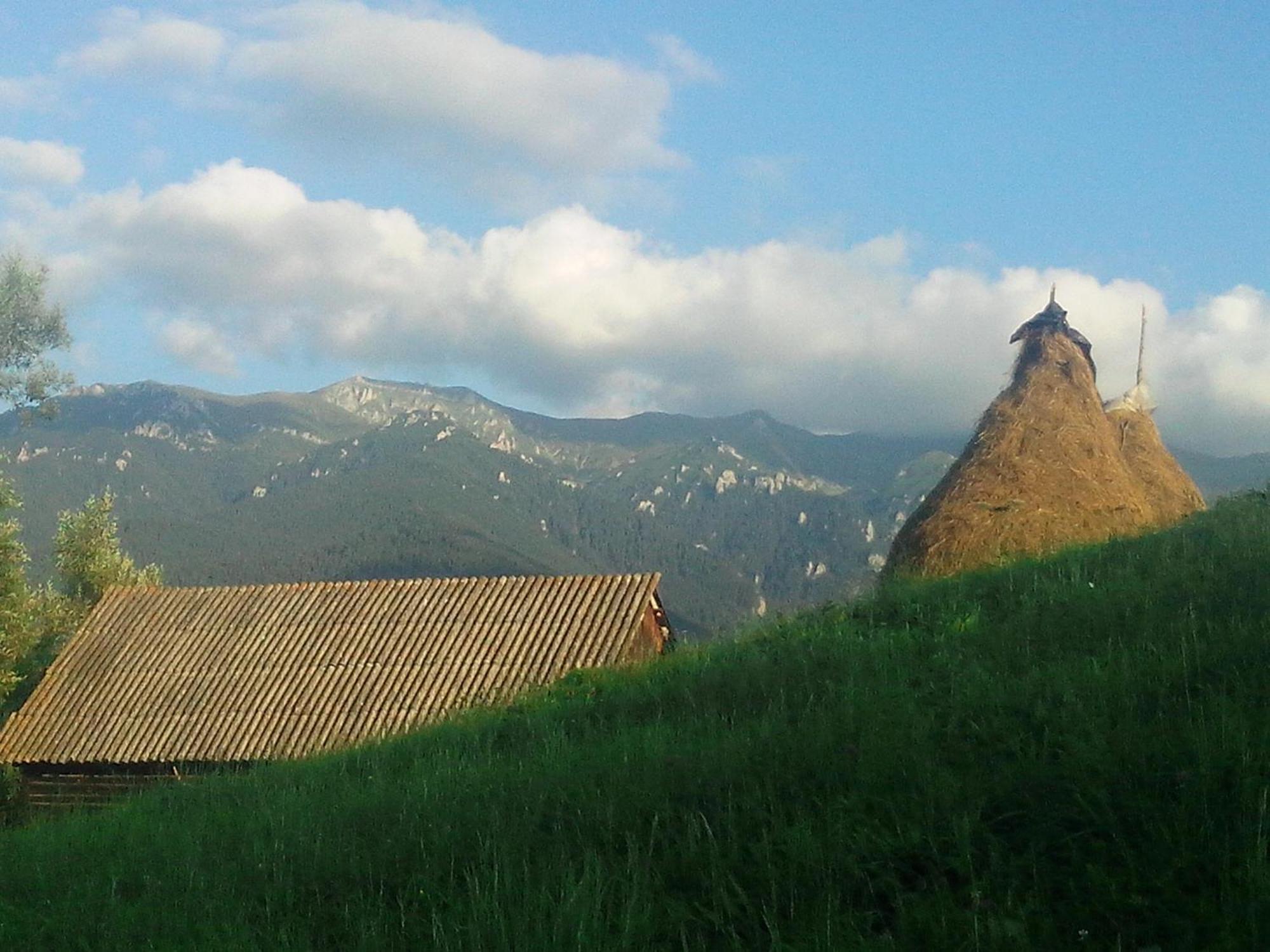 Vila Doina Branului บราน ภายนอก รูปภาพ