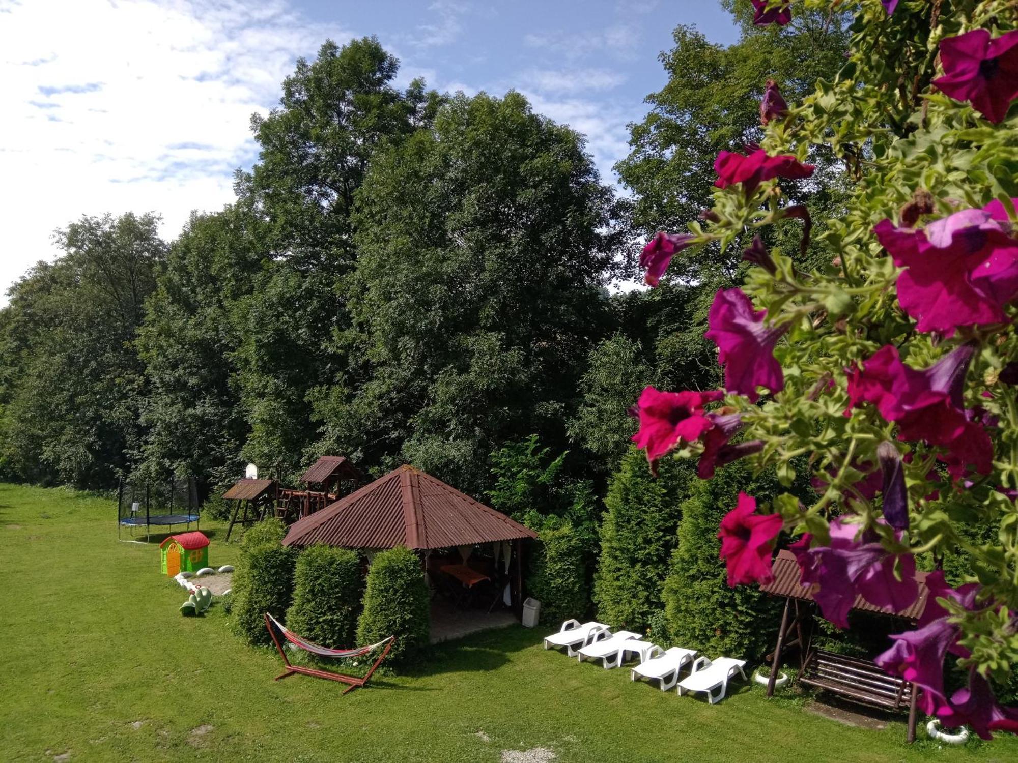 Vila Doina Branului บราน ภายนอก รูปภาพ