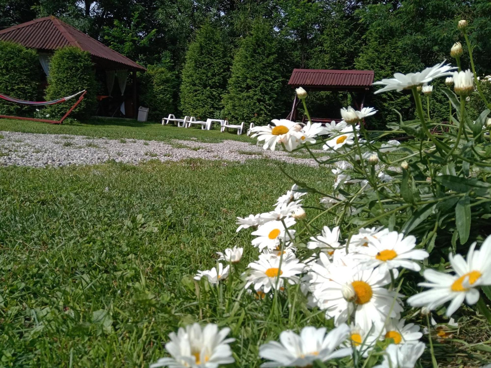 Vila Doina Branului บราน ภายนอก รูปภาพ
